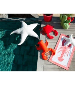 Buitenkussen Kreeftvorm -Meubels Voor Thuis 0eb2490bd482473a92c8794006de4d0a