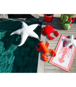 Buitenkussen Zeestervorm -Meubels Voor Thuis 518e8e3b11c44de4a62bf3087b1c7c76 1