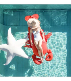 Drijvende XL-buitenpoef Kreeftvorm -Meubels Voor Thuis c1ca8f4efa4f489396aaf6e8f5ab94c1